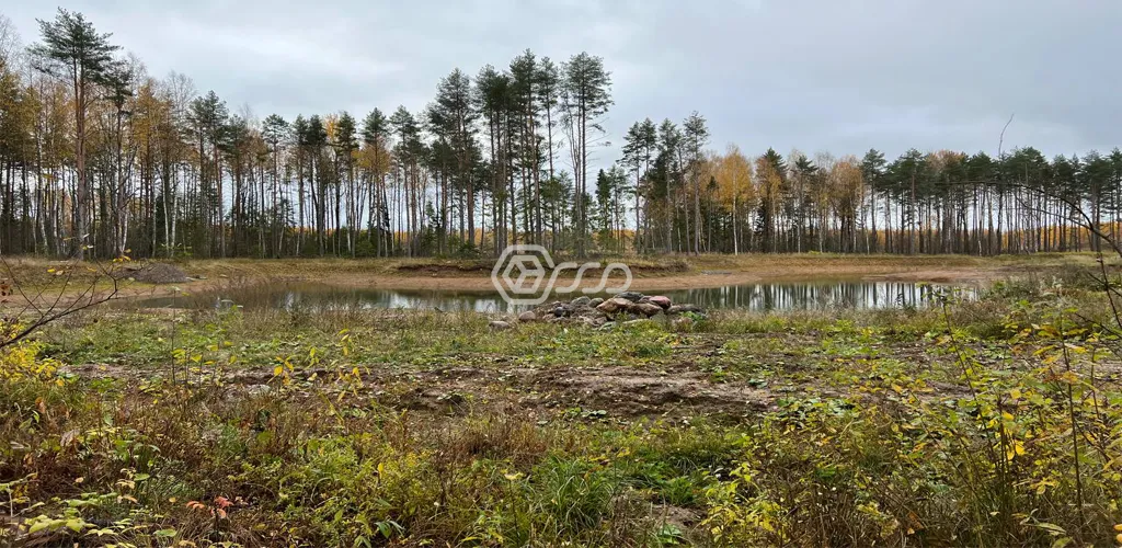Этап укрепления берега 1